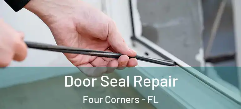 Door Seal Repair Four Corners - FL