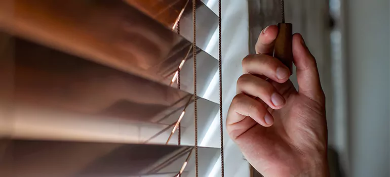 Double Roller Blinds in Four Corners, FL