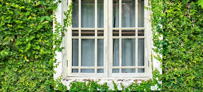 Garden Window Repair Near Me in Four Corners, FL