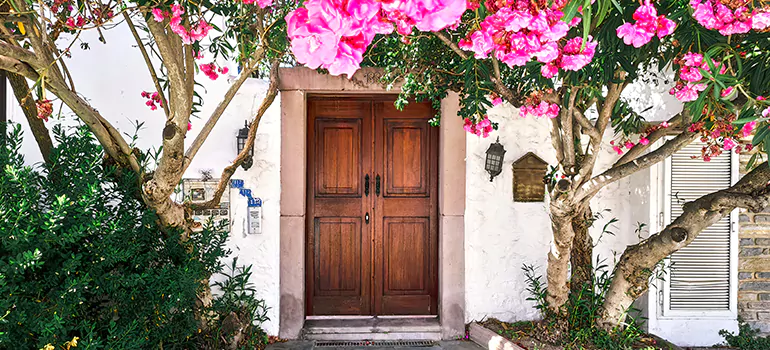 Traditional 4 Panel Internal Doors in Four Corners, FL