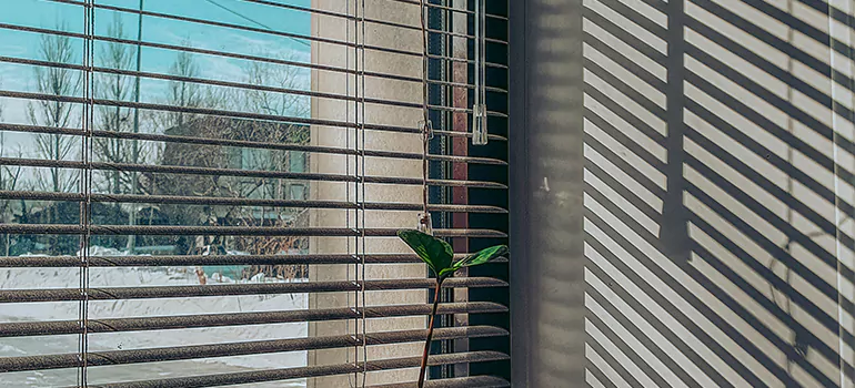 Commercial Window Blinds in Four Corners, FL