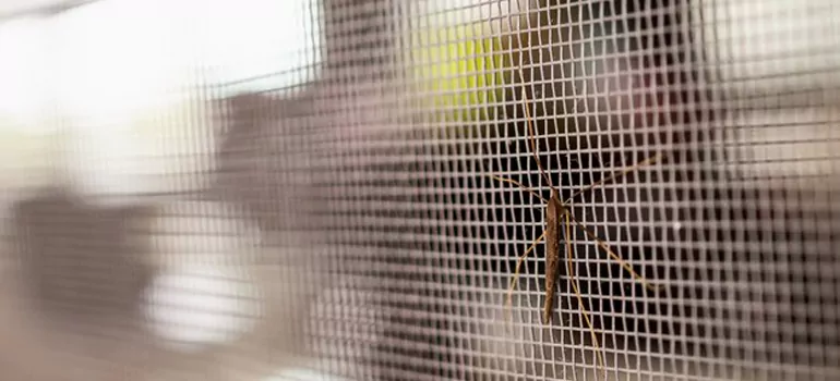 Repair Mosquito Mesh For Windows in Four Corners, FL