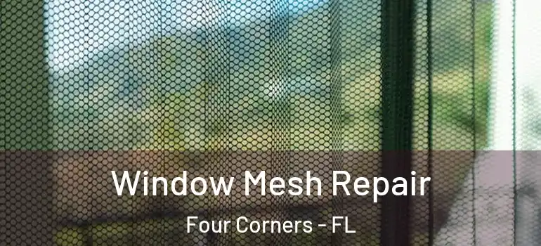 Window Mesh Repair Four Corners - FL