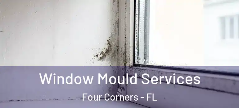 Window Mould Services Four Corners - FL